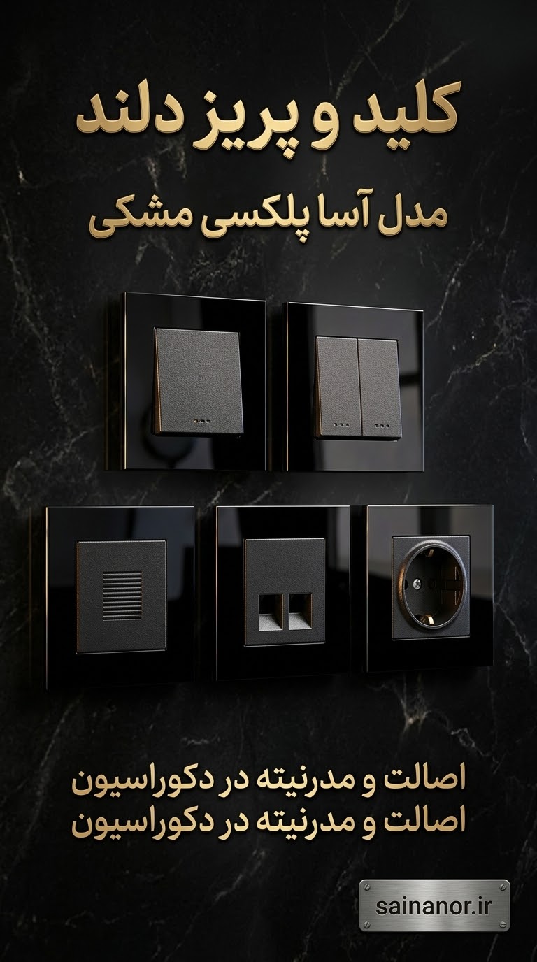 فارسی: کلید و پریز دلند مدل آسا پلکسی مشکی شامل کلید تک،