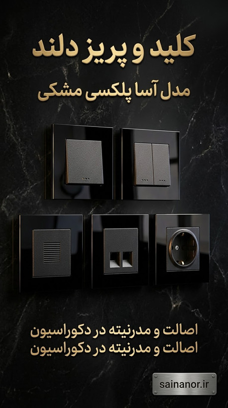 فارسی: کلید و پریز دلند مدل آسا پلکسی مشکی شامل کلید تک،